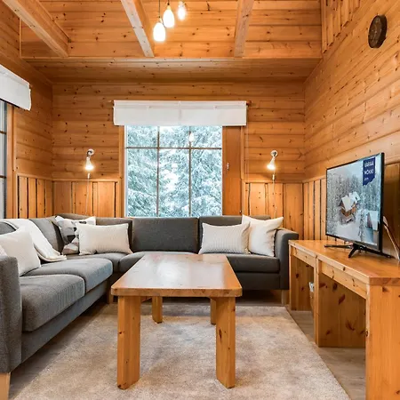 Rinnerasti B 7 Lift 150 M Incl Wifi, Sauna Villa *