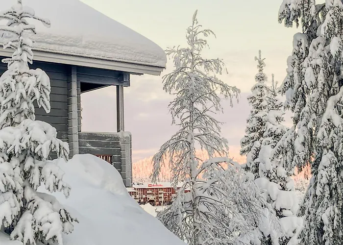 Rinnerasti B 7 فيلة روكا