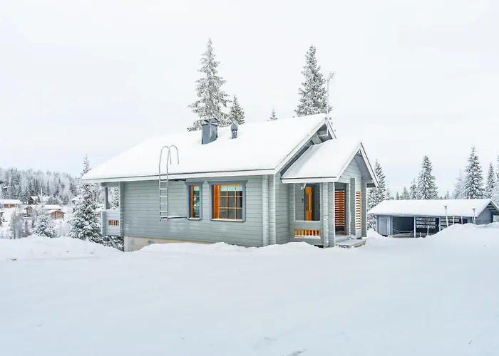 فيلة Rinnerasti B 7 *