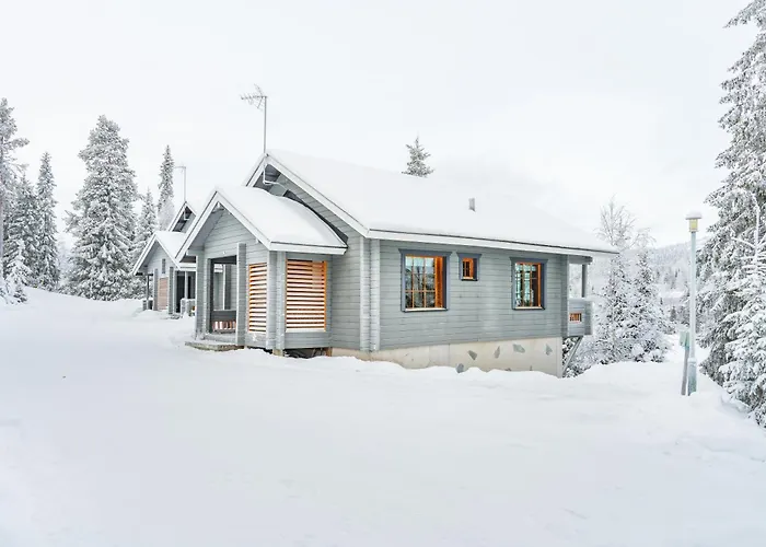 Rinnerasti B 7 فيلة روكا