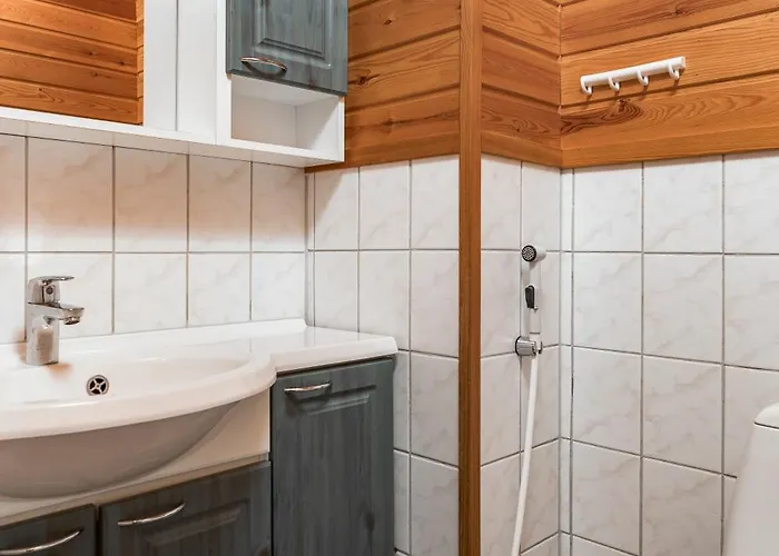 Rinnerasti B 7 فيلة