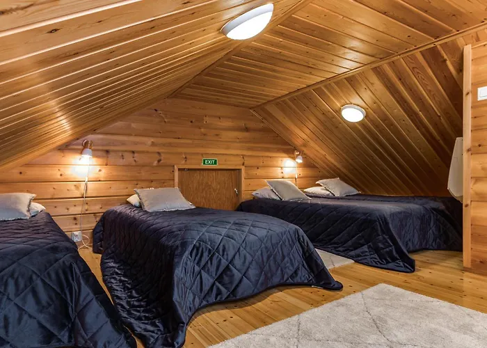 Rinnerasti B 7 فيلة