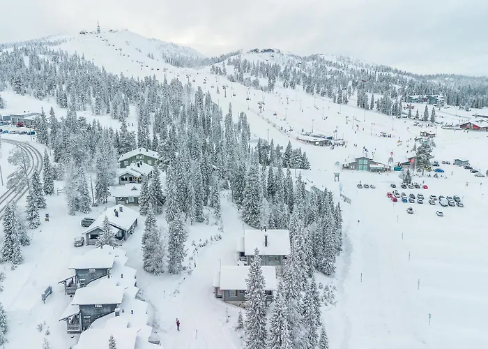 فيلة Rinnerasti B 7 *