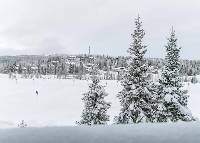 Rinnerasti B 7 * روكا