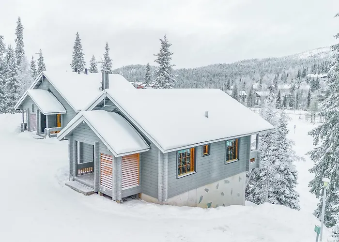 Rinnerasti B 7 فيلة