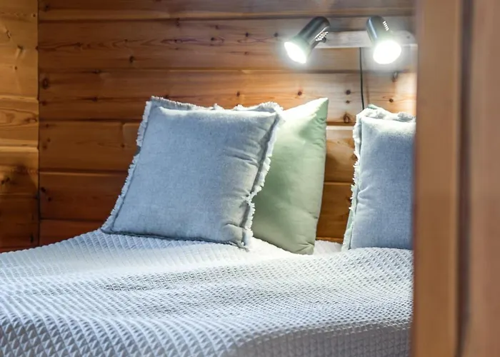 Rinnerasti B 7 فيلة روكا