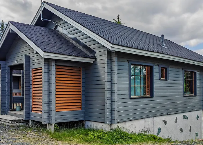 Rinnerasti B 7 فيلة روكا