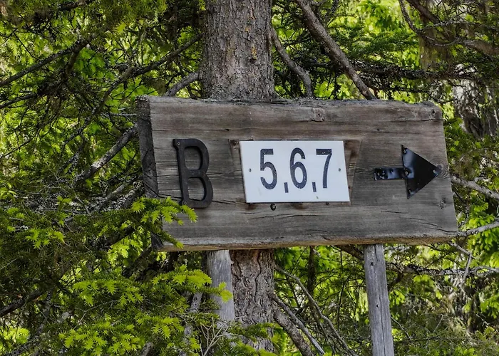 Rinnerasti B 7 فيلة *